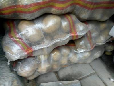 荷蘭15號土豆批發 價格優勢與市場潛力分析